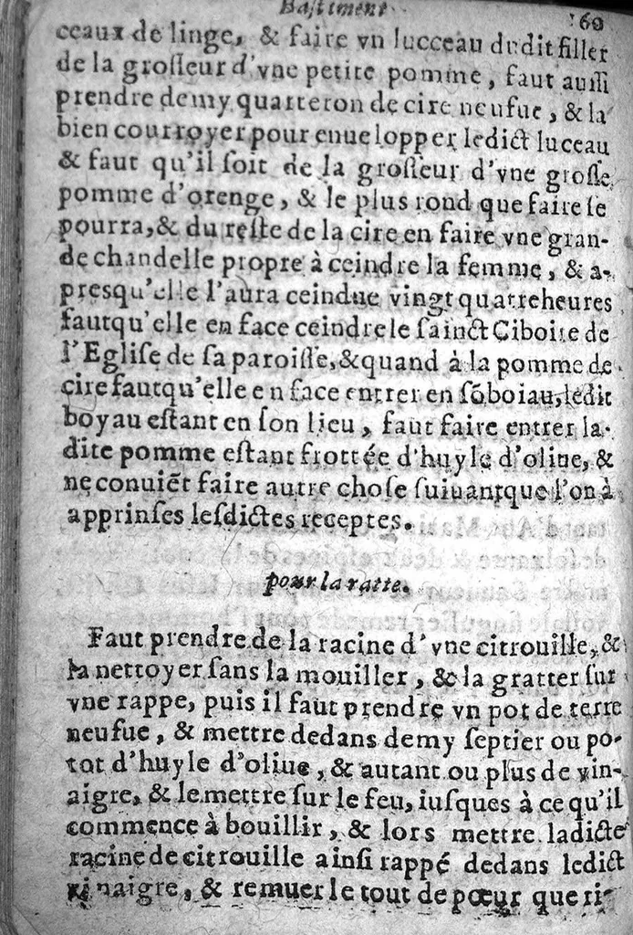 An illustration from Bastiment de receptes, traduit de l'italien en françois, augmenté d'une infinité de beaux secrets depuis peu mis en usage, avec un autre petit traité de recepte intitulé le plaisant jardin,, 1645, leaf 167