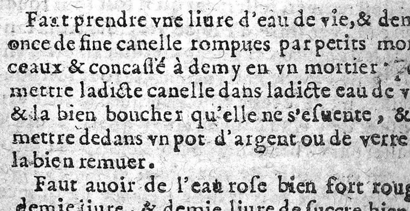 An illustration from Bastiment de receptes, traduit de l'italien en françois, augmenté d'une infinité de beaux secrets depuis peu mis en usage, avec un autre petit traité de recepte intitulé le plaisant jardin,, 1645, leaf 168