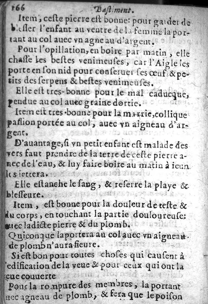 An illustration from Bastiment de receptes, traduit de l'italien en françois, augmenté d'une infinité de beaux secrets depuis peu mis en usage, avec un autre petit traité de recepte intitulé le plaisant jardin,, 1645, leaf 173