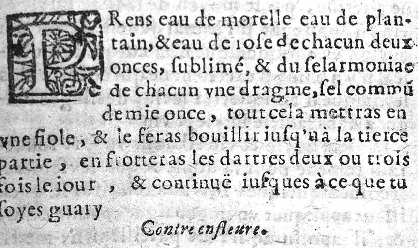 An illustration from Bastiment de receptes, traduit de l'italien en françois, augmenté d'une infinité de beaux secrets depuis peu mis en usage, avec un autre petit traité de recepte intitulé le plaisant jardin,, 1645, leaf 177