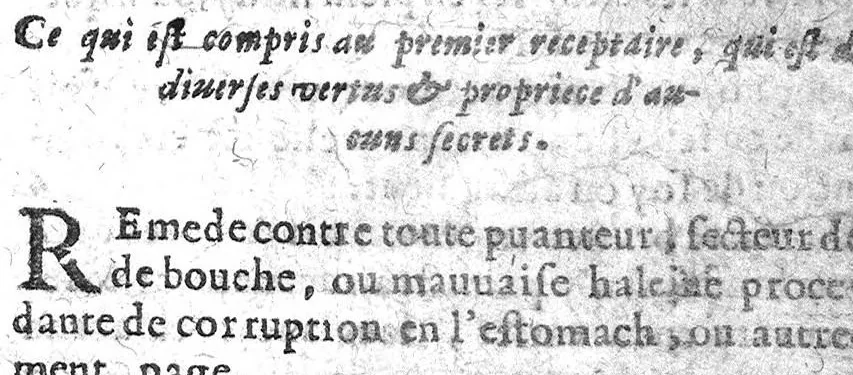 An illustration from Bastiment de receptes, traduit de l'italien en françois, augmenté d'une infinité de beaux secrets depuis peu mis en usage, avec un autre petit traité de recepte intitulé le plaisant jardin,, 1645, leaf 2