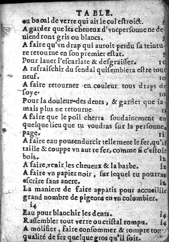 An illustration from Bastiment de receptes, traduit de l'italien en françois, augmenté d'une infinité de beaux secrets depuis peu mis en usage, avec un autre petit traité de recepte intitulé le plaisant jardin,, 1645, leaf 4