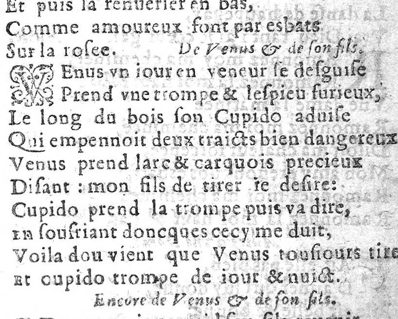 An illustration from Bastiment de receptes, traduit de l'italien en françois, augmenté d'une infinité de beaux secrets depuis peu mis en usage, avec un autre petit traité de recepte intitulé le plaisant jardin,, 1645, leaf 426