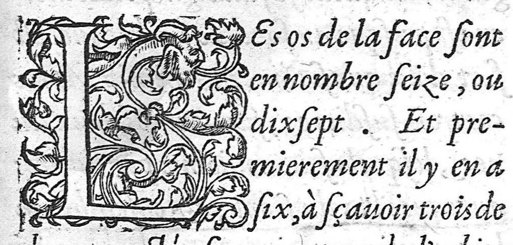 An illustration from La Methode Curative des Playes et Fracture de la teste humaine. Avec les pourtraits des Instruments necessaires pour la curation d’icelles. Par M. Ambroise Paré Chirurgien ordinaire du Roy, et Juré à Paris,, 1561, leaf 136