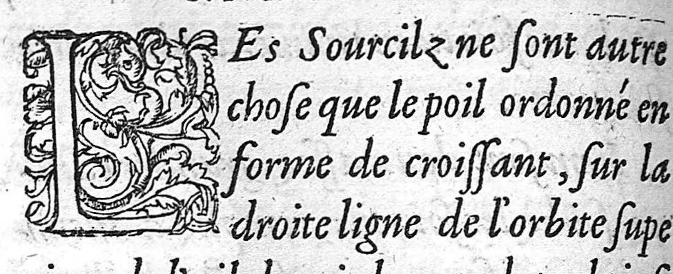 An illustration from La Methode Curative des Playes et Fracture de la teste humaine. Avec les pourtraits des Instruments necessaires pour la curation d’icelles. Par M. Ambroise Paré Chirurgien ordinaire du Roy, et Juré à Paris,, 1561, leaf 155