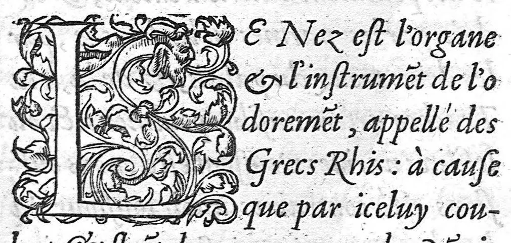 An illustration from La Methode Curative des Playes et Fracture de la teste humaine. Avec les pourtraits des Instruments necessaires pour la curation d’icelles. Par M. Ambroise Paré Chirurgien ordinaire du Roy, et Juré à Paris,, 1561, leaf 188