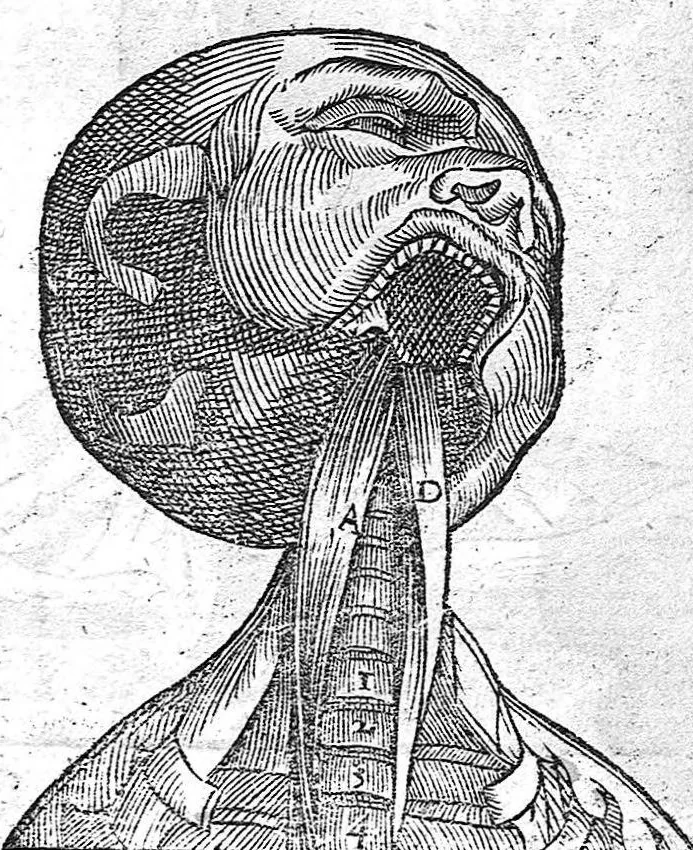 An illustration from La Methode Curative des Playes et Fracture de la teste humaine. Avec les pourtraits des Instruments necessaires pour la curation d’icelles. Par M. Ambroise Paré Chirurgien ordinaire du Roy, et Juré à Paris,, 1561, leaf 249
