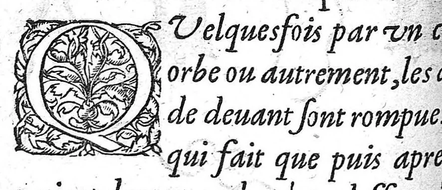 An illustration from La Methode Curative des Playes et Fracture de la teste humaine. Avec les pourtraits des Instruments necessaires pour la curation d’icelles. Par M. Ambroise Paré Chirurgien ordinaire du Roy, et Juré à Paris,, 1561, leaf 533