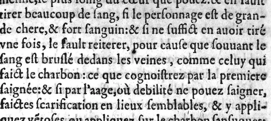 An illustration from Remedes certains et bien epprouvez contre la peste..., 1628, leaf 16