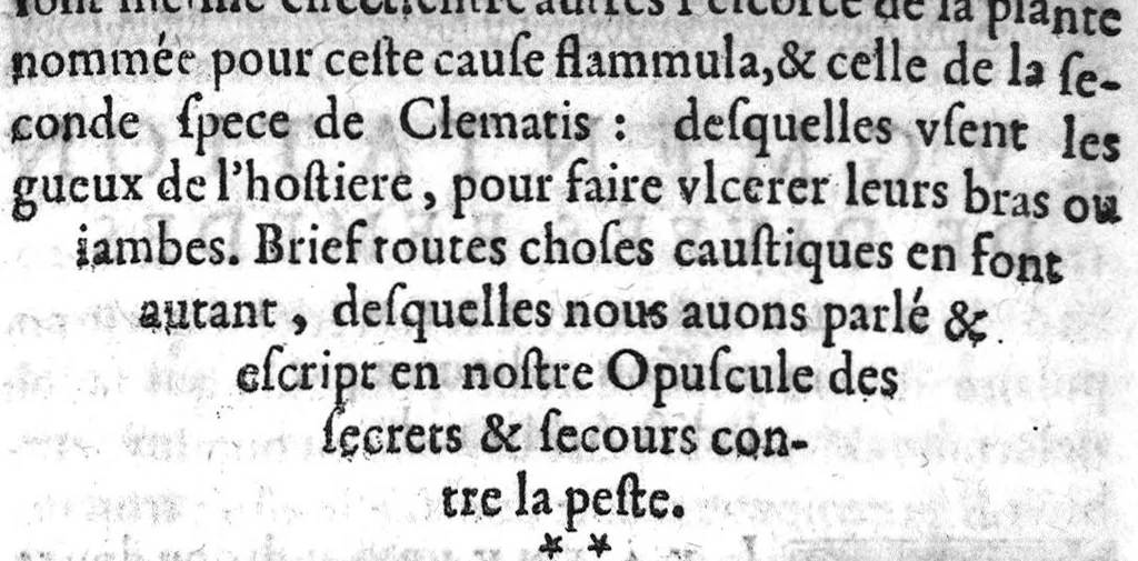 An illustration from Remedes certains et bien epprouvez contre la peste..., 1628, leaf 30
