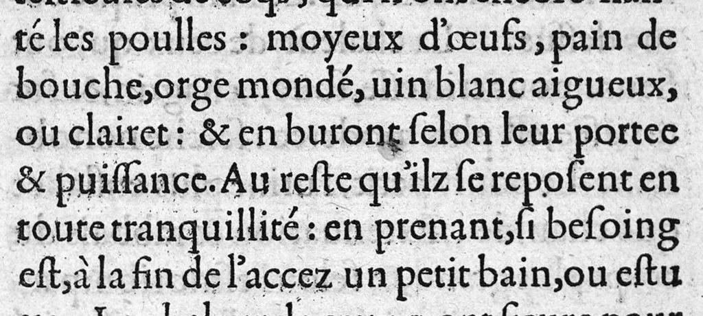 An illustration from Raison de vivre pour toutes fievres, cognues premierement par leurs differences, causes, signes, et symptomes, avec les prognostiques d’icelles. Par maistre Jean Lyege medecin. En fin sont briefvement et familierement exposees plusieurs et diverses sentences touchant la nature et prediction des fievres,, 1557, leaf 40