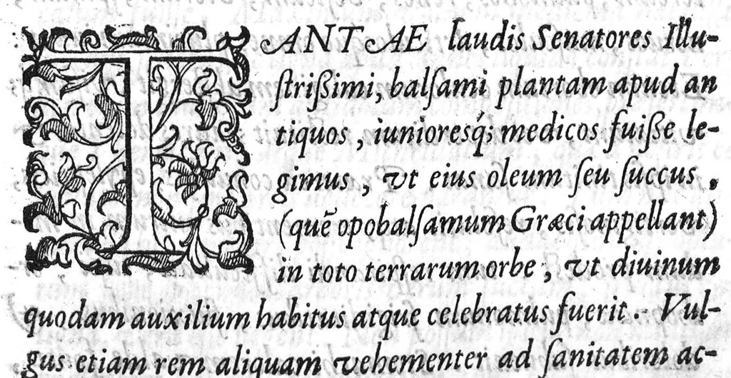 An illustration from De balsamo dialogus, 1591, leaf 2