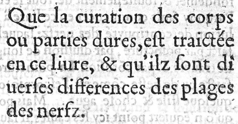 An illustration from Perioche des sept premiers livres de la Methode therapeuticque de Galien : Traduicte par Maistre Guillaume Cristian, Medecin, Docteur, lisant à Orleans. Agathos Listis., 1540, leaf 130