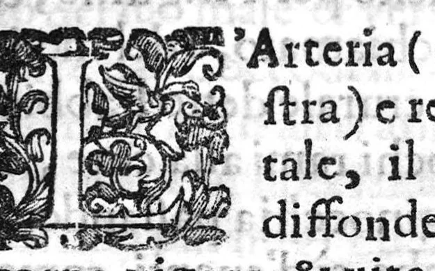 An illustration from Prattica nuova, et utilissima di tutto quello, ch' al diligente barbiero s'appartiene... ove si discorre del cavar sangue, medicar, ferite, et balsamar corpi humani..., 1671, leaf 16