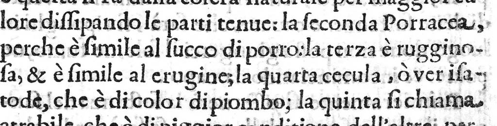 An illustration from Prattica nuova, et utilissima di tutto quello, ch' al diligente barbiero s'appartiene... ove si discorre del cavar sangue, medicar, ferite, et balsamar corpi humani..., 1671, leaf 194