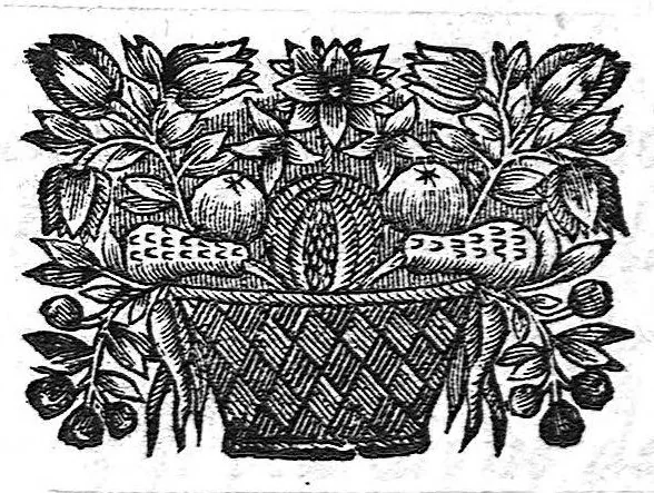 An illustration from Les rudimens de la philosophie naturelle touchant le système du corps mixte. Tome deuxième, 1665, leaf 164