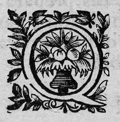 An illustration from Elémens philosophiques des arcanes et du dissolvant général, de leurs vertus, proprietez et effets : où sont ponctuellement expliquées en général leurs secrettes compositions, les expériences qui en ont été faites, l'ordre et la manière de s'en servir, pour les usages de la Médecine, 1668, leaf 26
