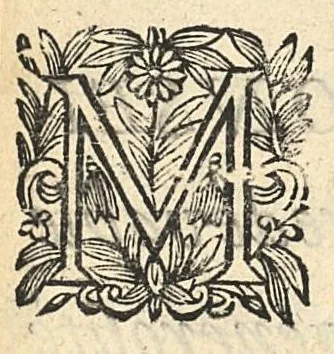An illustration from Les vertus magnetiques du sang, de son usage interne & externe. Pour la guarison des maladies, 1664, leaf 2
