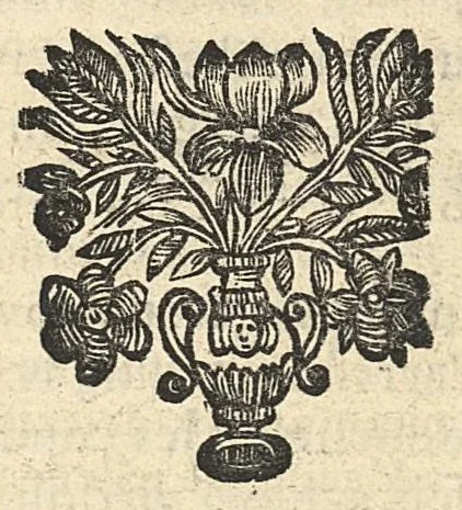An illustration from Les vertus magnetiques du sang, de son usage interne & externe. Pour la guarison des maladies, 1664, leaf 69