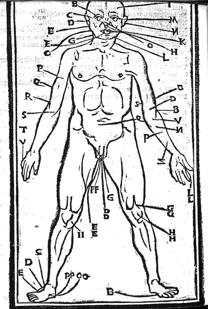 An illustration from [Articella] Contient dans la même reliure : Liber Ysagoge Iohannici, Ad thegni Galieni, cum libro Philareti de pulsibus et libro Theophili de urinis [s. n., s.l, s. d.] / Aphorismi Johannis Damasceni ;Flosculi Cornelii Celsi ; [Aphorismes d’Hippocrate] [s. n., s.l, s. d.] / Summula Jacobi de partibus per alphabetus super plurimis remediis ex ipsius Mesue libris excerptis. [Lyon, s.n., s. d. (1500?)], 1500, leaf 308