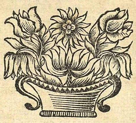 An illustration from La chiromancie royale et nouvelle, enrichie de figures & d'exemples & de quantité d'observations de la cabale,..., 1666, leaf 155