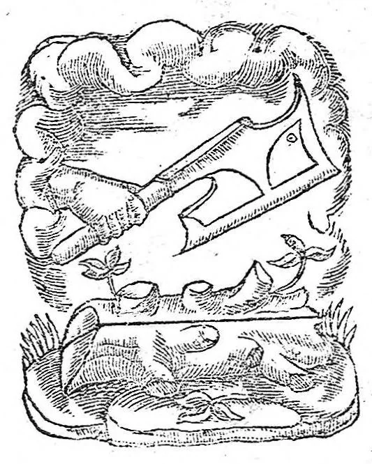 An illustration from Le livre des presaiges du divin Hyppocrates divisé en troys parties. Item La protestation, que le dict Hyppocrates faisoit faire à ses disciples. Le tout nouvellement translaté par maistre Pierre Vernei, Docteur en Medecine, 1542, leaf 0