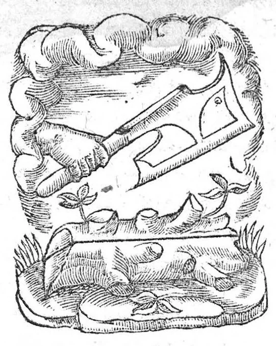 An illustration from Du mouvement des muscles, Livre deux. Autheur Galien. Nouvellement traduict de Latin en Françoys, par Monsieur Jehan Canappe Docteur en Médecine, 1541, leaf 0