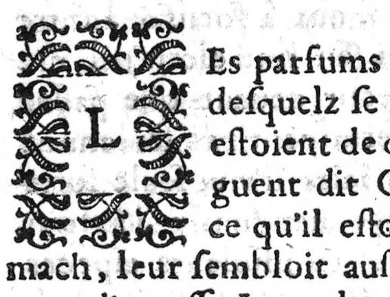 An illustration from Discours de l’yvresse et yvrongnerie, auquel les causes, nature & effects de l'yvresse sont amplement deduictz..., 1612, leaf 265