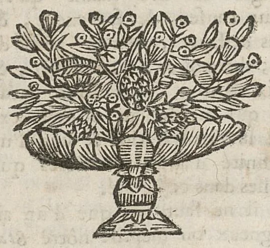 An illustration from Science de la transpiration ou medecine statique...trad. de M. Alemand, 1695, leaf 23