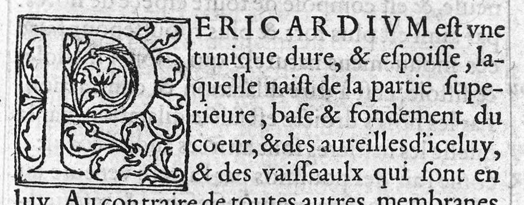 An illustration from Briefve collection de l'administration anatomique..., 1549, leaf 86