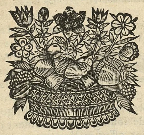 An illustration from Le cabinet secret des grands preservatifs & specifiques propres, contre la peste, fievres pestilentielles, pourpres, petites verolles, & toutefortes de maladies contagieuses..., 1666, leaf 58