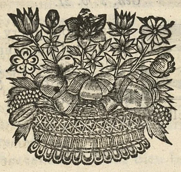 An illustration from Le cabinet secret des grands preservatifs & specifiques propres, contre la peste, fievres pestilentielles, pourpres, petites verolles, & toutefortes de maladies contagieuses..., 1666, leaf 74