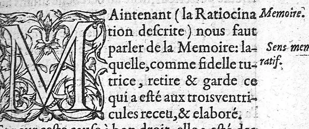 An illustration from Anatomie universelle du Corps humain, composee par A. Paré, Chirurgien ordinaire du Roy et Juré à Paris : reveue et augmentee par ledit autheur, avec I. Rostaing du Bignosc Provençal, aussi Chirurgien Juré à Paris, 1561, leaf 318