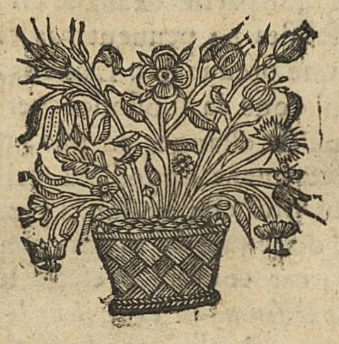 An illustration from Commentaire sur la carie, et corruption des os..., 1656, leaf 117