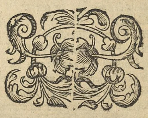 An illustration from Commentaire sur la carie, et corruption des os..., 1656, leaf 292