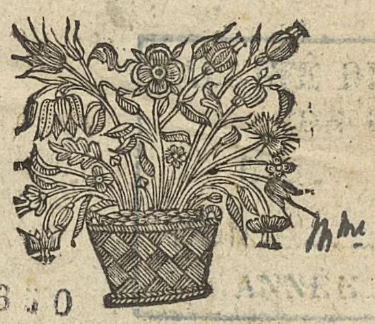 An illustration from Commentaire sur la carie, et corruption des os..., 1656, leaf 4