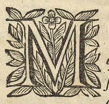 An illustration from Commentaire sur la carie, et corruption des os..., 1656, leaf 6