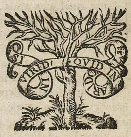 An illustration from La chirurgie de Felix Wurtzius,...nouvellement reveuë & corrigée, selon les propres manusccrits de l'autheur...trad. de l'allemand en françois par François Savvin..., 1672, leaf 94