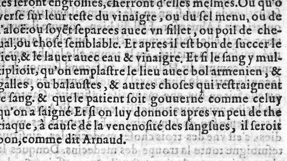 An illustration from La grande chirurgie de M. Gui de Chauliac, Medecin tres-fameux de l’Université de Monpelier, composee l’an de grace M.CCC.LXIII. Restituee nouvellement a sa dignité, par M. Laurens Joubert, Medecin ordinaire du Roy, et du Roy de Navarre, premier Docteur regent stipendié, Chancelier et Juge de ladicte Université. Voyez au prochain feuillet, ce que M. Joubert ha faict (outre sa nouvelle traduction) et fourny du sien, en recognoissant cest’ œuvre,, 1579, leaf 814