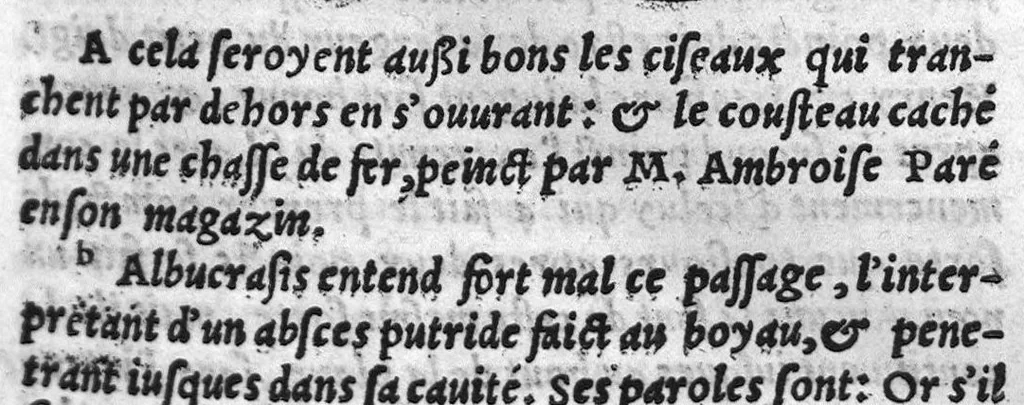 An illustration from Chirurgie françoise, recueillie par M. Jaques Dalechamps, Docteur Medicin, et Lecteur ordinaire de ceste profession à Lyon. Avec plusieurs figures des instrumens necessaires pour l’operation manuelle. La page 14. contient les principaux chefz de ce qui se discourt en cest œuvre,, 1569, leaf 336