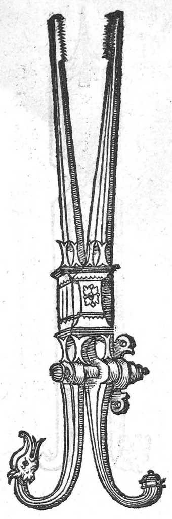 An illustration from Chirurgie françoise, recueillie par M. Jaques Dalechamps, Docteur Medicin, et Lecteur ordinaire de ceste profession à Lyon. Avec plusieurs figures des instrumens necessaires pour l’operation manuelle. La page 14. contient les principaux chefz de ce qui se discourt en cest œuvre,, 1569, leaf 612
