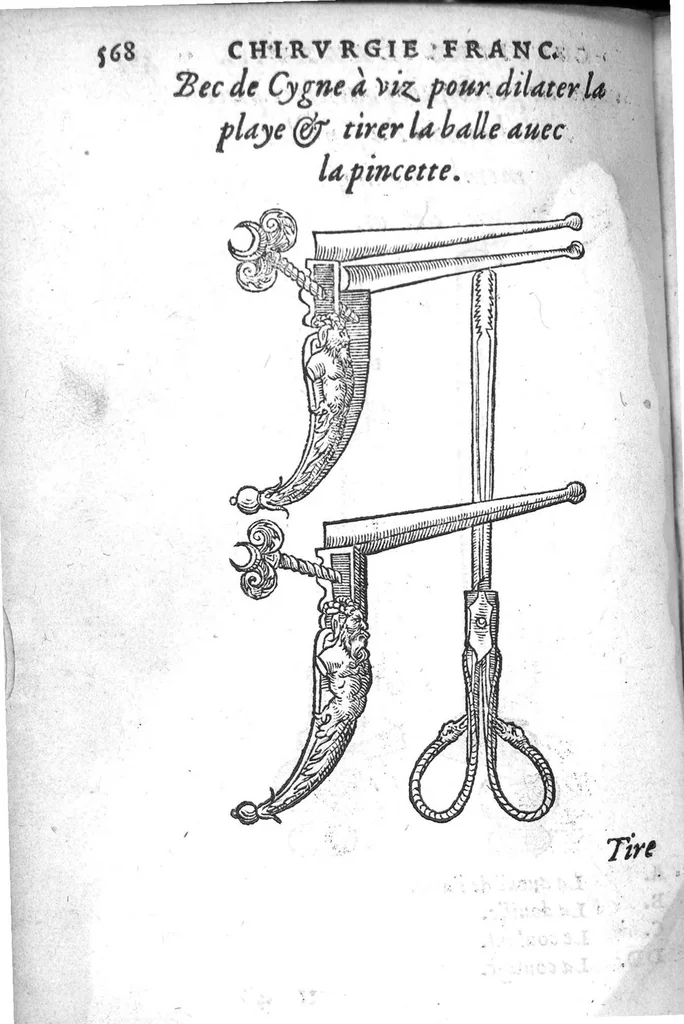 An illustration from Chirurgie françoise, recueillie par M. Jaques Dalechamps, Docteur Medicin, et Lecteur ordinaire de ceste profession à Lyon. Avec plusieurs figures des instrumens necessaires pour l’operation manuelle. La page 14. contient les principaux chefz de ce qui se discourt en cest œuvre,, 1569, leaf 619