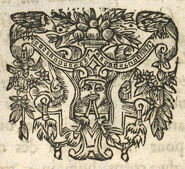 An illustration from Methodique introduction à la chirurgie. Annotations de M. de Montreuil, 1660, leaf 17