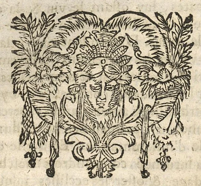 An illustration from Les canons requis pour apprendre a pratiquer methodiquement la chirurgie..., 1660, leaf 61