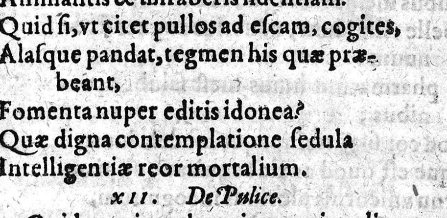 An illustration from Tou sophôtatou Philê Stichoi iambikoi peri Zôôn idiotêtos meta prosthêkês Iôach. tou KamerariadouSapientissimi Phile Versus iambici De Animalium proprietate cum Auctario Ioach. Camerarii, 1596, leaf 181