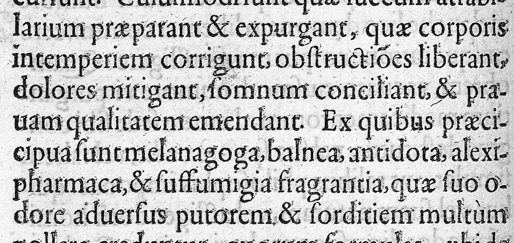 An illustration from Microcosmus Hypochondriacus sive de Melancholia Hypochondriaca Tractatus, etc., 1652, leaf 150
