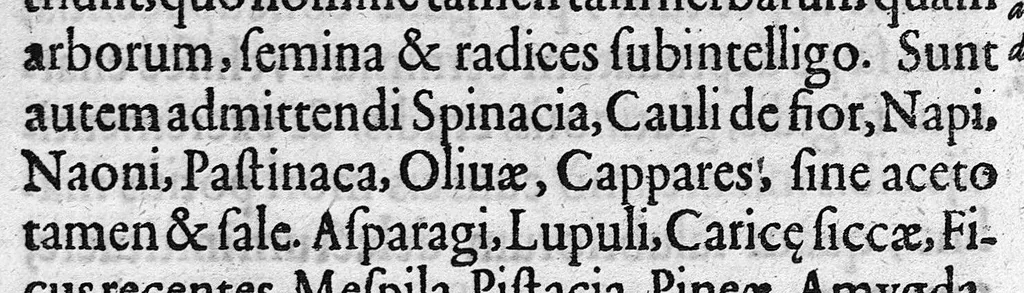 An illustration from Microcosmus Hypochondriacus sive de Melancholia Hypochondriaca Tractatus, etc., 1652, leaf 174