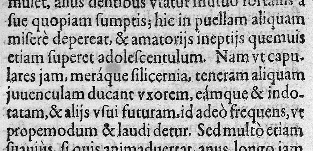 An illustration from Microcosmus Hypochondriacus sive de Melancholia Hypochondriaca Tractatus, etc., 1652, leaf 246