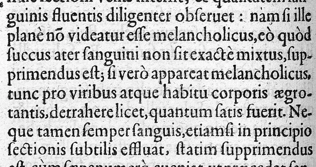 An illustration from Microcosmus Hypochondriacus sive de Melancholia Hypochondriaca Tractatus, etc., 1652, leaf 254