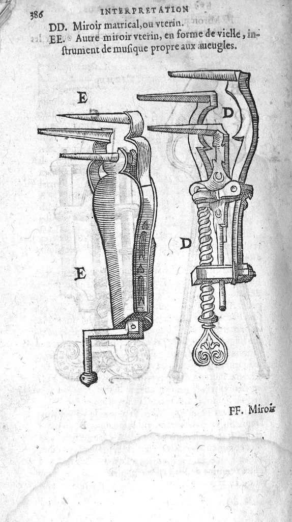 An illustration from La grande chirurgie de M. Gui de Chauliac, Medecin tres-fameux de l’Université de Montpellier, composée l’an de grace 1363. Restituee nouvellement a sa dignité, par M. Laurens Joubert, Medecin ordinaire du Roy, et du Roy de Navarre, premier Docteur regent stipendié, chancelier et Juge de ladicte Université. Voyez au prochain feuillet, ce que M. Joubert à faict (outre sa nouvelle traduction) et fourny du sien, en recognoissant cest’ œuvre, 1592, leaf 1295